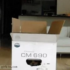 1285147501_maru-in-a-box.webp