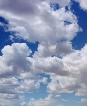 13385310357119906775.jpeg___1_500_1_500_cb94de6a_.webp