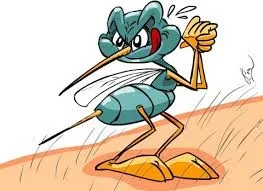 mosq.webp