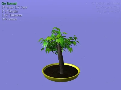 Bonsai_0006.webp