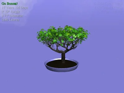 Bonsai_0000.webp