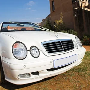 white.webp