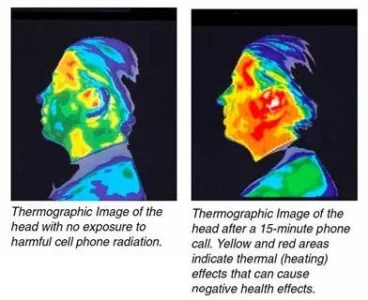 cell-phone-radiation-cancer.webp