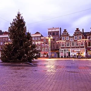 image.webp