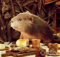 Beaver 2.webp