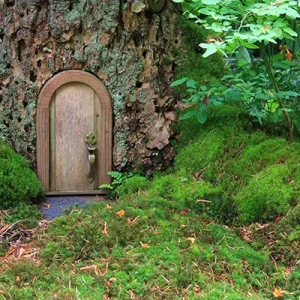garden-2.webp