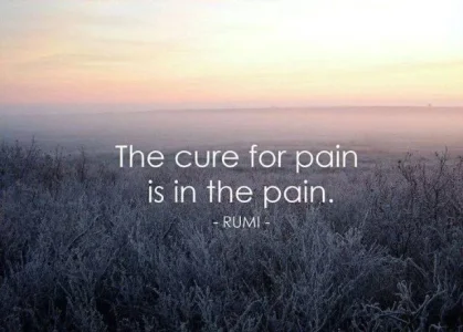 13b8152965a386a3bd1b3c3f9fc765d6.webp