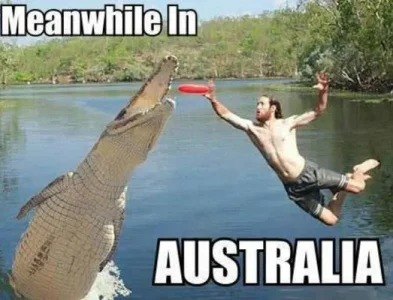 Meanwhile-in-Australia-2.webp