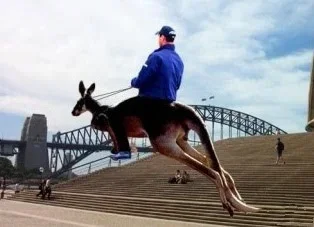 people_riding_animals_23.webp