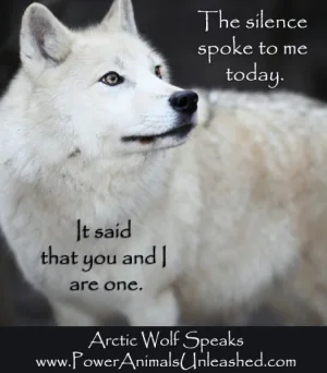 arctic-wolf-silence.webp