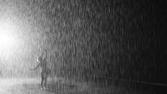 terranea-life-rain-room-lacma-1.webp