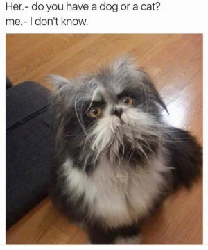 15016213_1771655489514833_6774757632618029822_o.webp