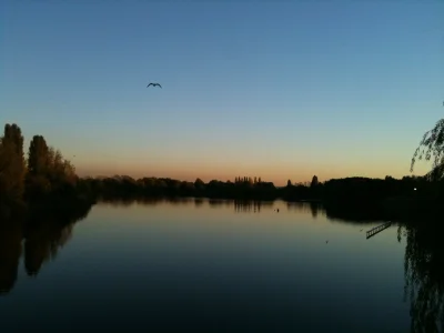 073.webp