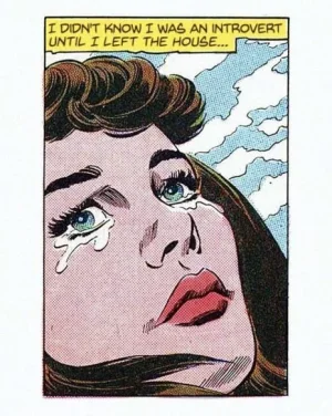 19225773_10212742233247119_4051448687410769497_n.webp