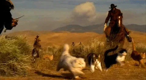 call-to-action-examples-herding-cats.webp