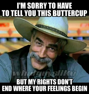 66b08d1c903a219cc83b4ed10de57649--sayings-and-quotes-snowflakes-liberals.webp
