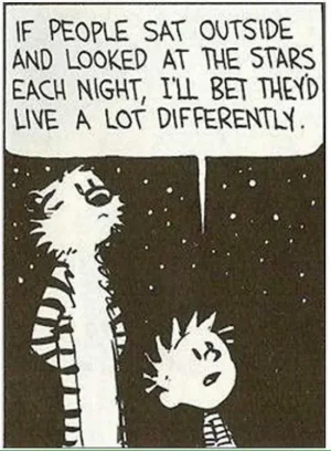 stars.webp
