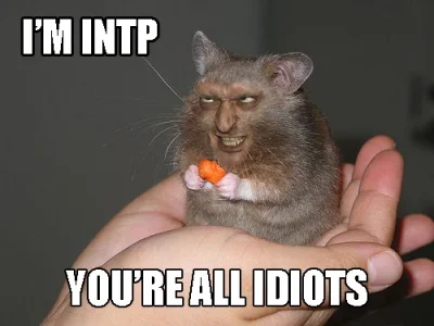 summer-school-hamster.webp