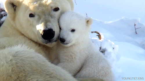 giphy (2).gif