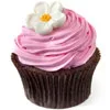 cherry-cupcake.webp