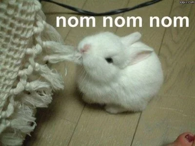 nom-nom-nom.webp