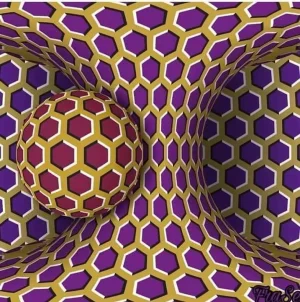 move.webp