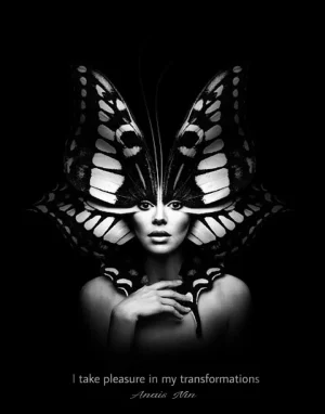 fly.webp