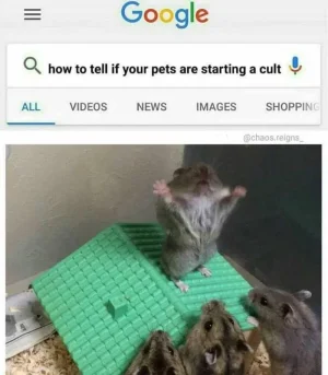cult.webp