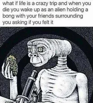 alien.webp