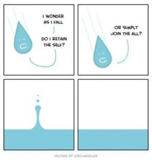 drip.webp