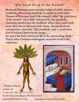 mandrake.webp
