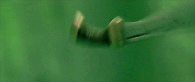 tumblr_p4vn6dOvQo1rmrpdmo3_r3_400.gif