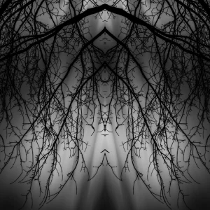 974961767_mirror2.webp