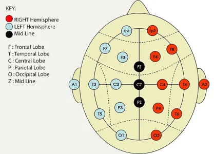 Figure5.webp