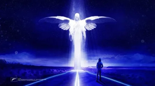 high-self-672x372.webp