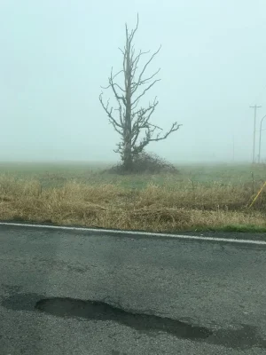 87152141_544840012794751_4293354132053426176_n.webp