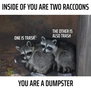 83773583_1557910677704328_171722198472458240_n.webp