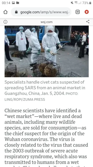 Screenshot_20200303-001402_Chrome.webp