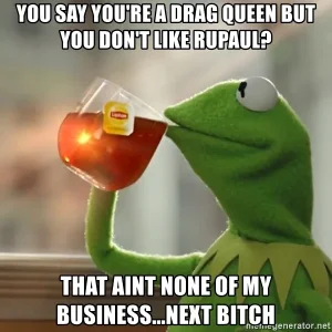 you-say-youre-a-drag-queen-but-you-dont-like-rupaul-that-aint-none-of-my-businessnext-bitch.webp
