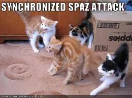 spazcat.webp