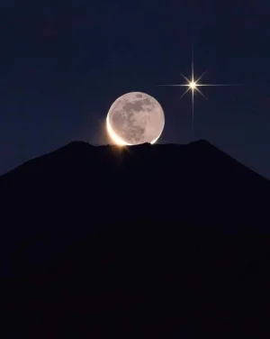 FB_IMG_1608772020952.webp