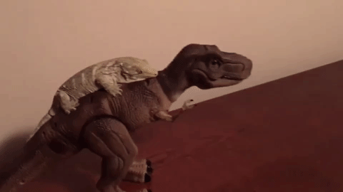 piggyback.gif