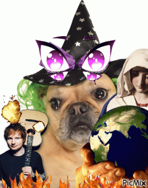 picmix.com_9924232.gif