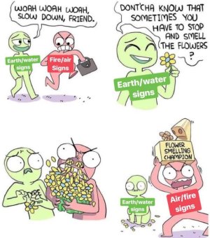 Astrology-Meme-stop and smell the flowers FireAir vs EarthWater.jpg