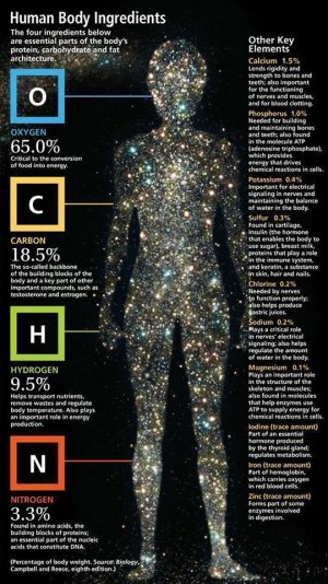 Human Body Ingredients percentages.jpg