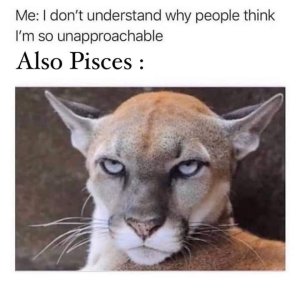 FB_IMG_1645817761437.jpg