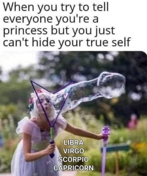 276979221_497496995363399_2962670576448607678_n.jpg