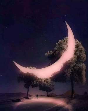 FB_IMG_1654653238054.jpg