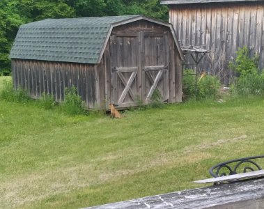 20220608_112131.jpg