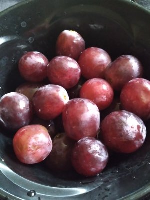 20220617_142114.jpg